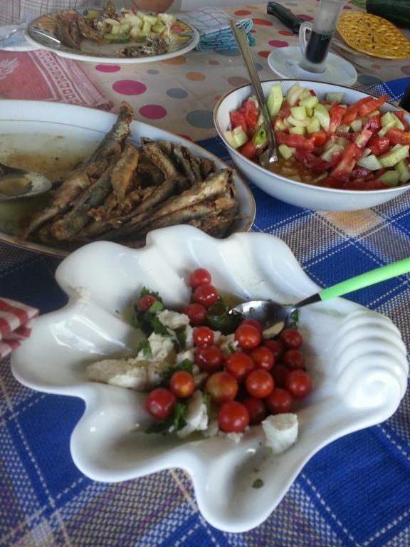 Bellavista Peljesac Peninsula Bed and Breakfast Dubrava  Eksteriør billede